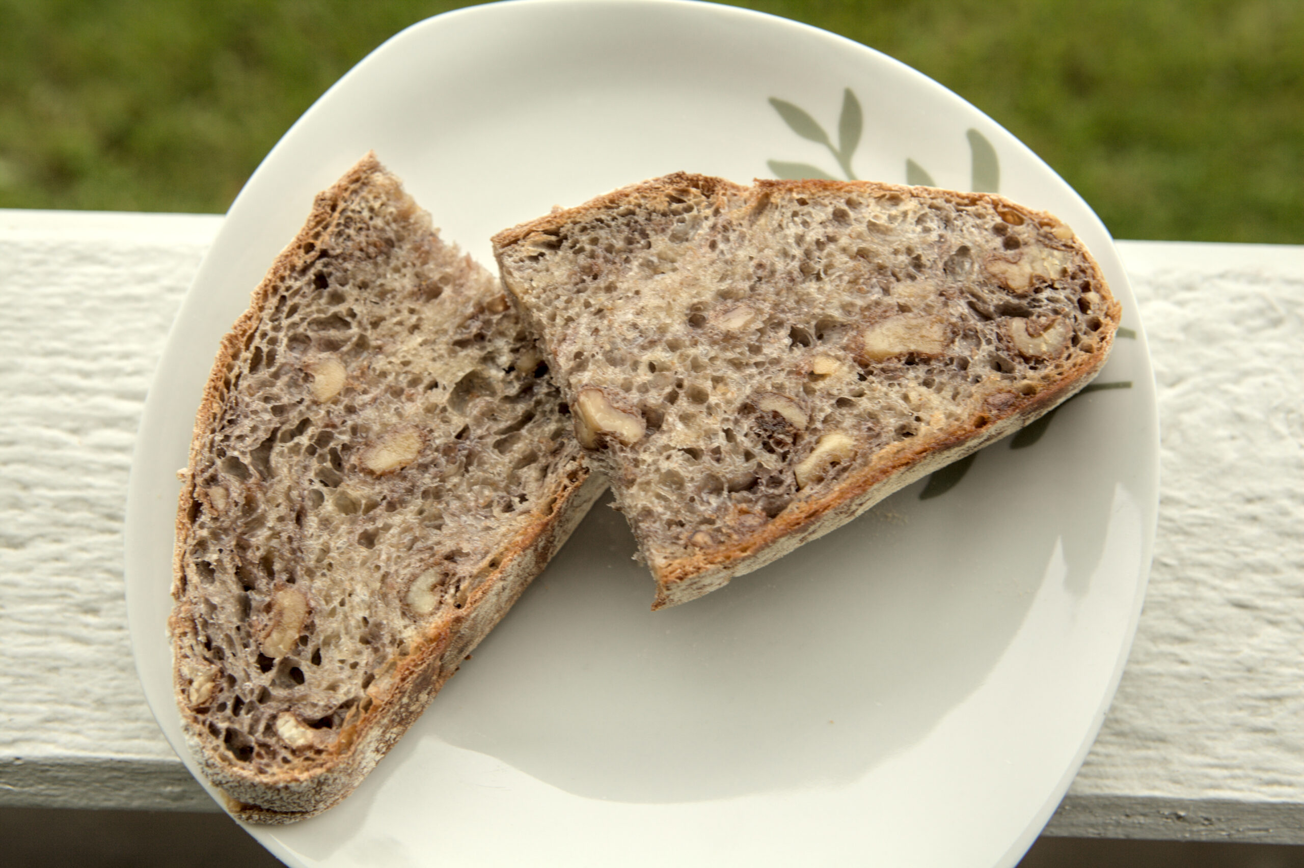 Slices of Cranberry Walnut Bread